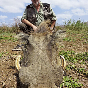 Warthog Hunting