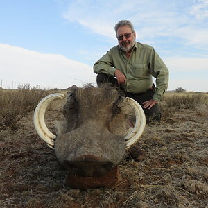 Warthog Hunting