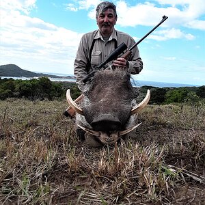 Warthog Hunting