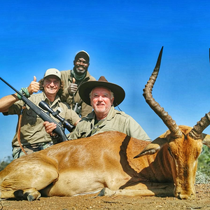 Impala Hunt South Africa