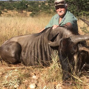 Blue Wildebeest Hunt Namibia