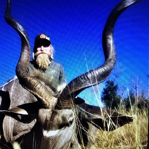 Kudu Hunt Namibia