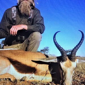 Springbok Hunt Namibia