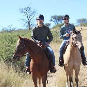 Namibia Wildlife