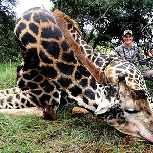 Bowhunting Giraffe South Africa