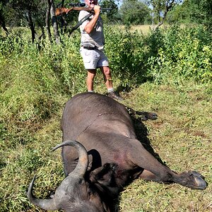 Buffalo Hunt South Africa