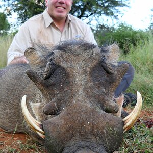 Warthog Hunt South Africa