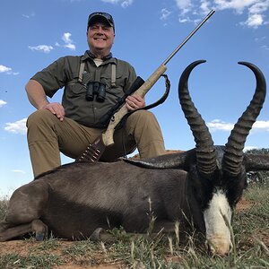 Black Springbok Eastern Cape South Africa