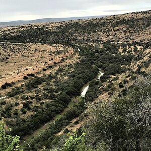 Eastern Cape Nature South Africa