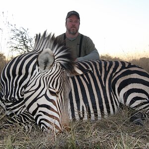 Hartmann Zebra Hunting In Namibia