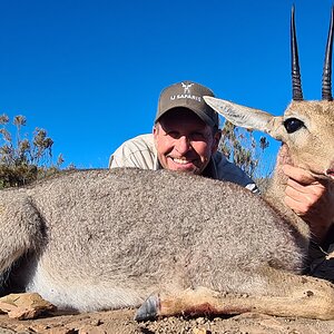 Grey Rhebok Hunt South Africa