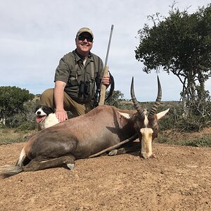 Blesbok Hunt Eastern Cape South Africa