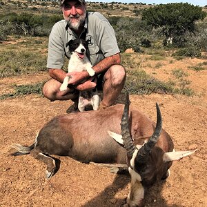 Blesbok Hunt Eastern Cape South Africa