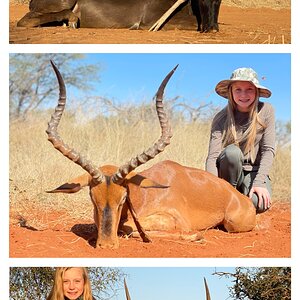 Impala Hunt South Africa