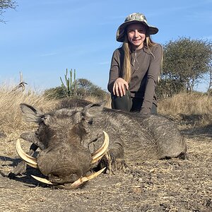 Warthog Hunt South Africa