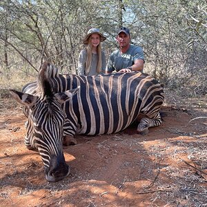 Zebra Hunt South Africa