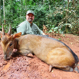 Peter’s Duikers Cameroon Hunt