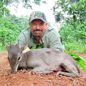 Blue Duiker Hunt Cameroon