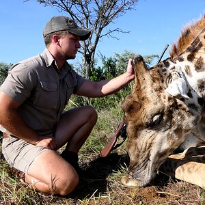 Giraffe Hunt South Africa