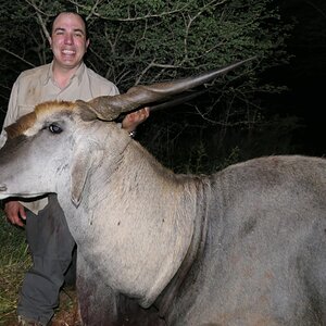 Eland Hunt South Africa