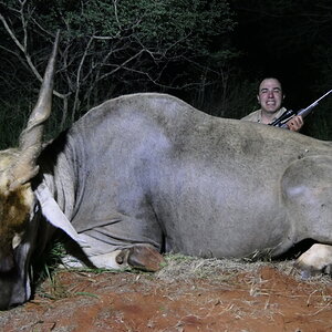 Eland Hunting South Africa