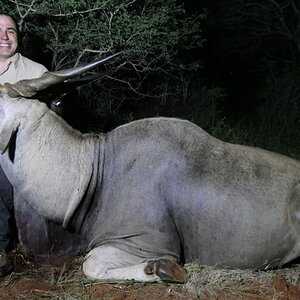 Eland Hunting South Africa