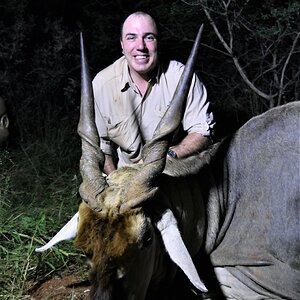 Eland Hunting South Africa