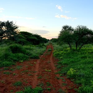 South African Nature