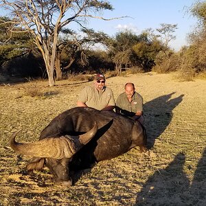 Buffalo Hunting