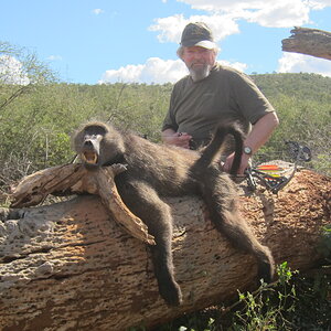 Baboon Hunting