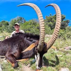 Sable Hunt Eastern Cape South Africa