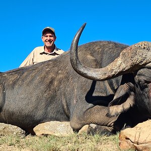 Bufflo Hunt Eastern Cape South Africa