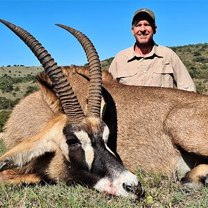 Roan Bull Hunt Eastern Cape South Africa