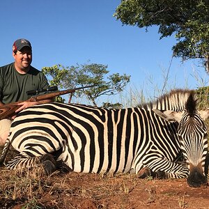 Zebra Hunt Zimbabwe