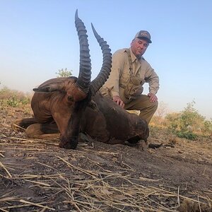 Korrigum (Senegal Hartebeest) Hunting Cameroon