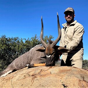 Nyala Hunting Eastern Cape South Africa