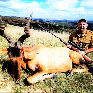 Red Hartebeest Hunt South Africa