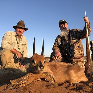 Steenbok Hunting Namibia