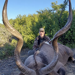 Kudu Hunt Eastern Cape South Africa