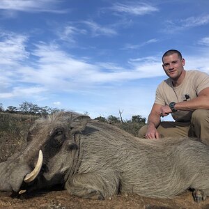 Warthog Hunting Eastern Cape South Africa