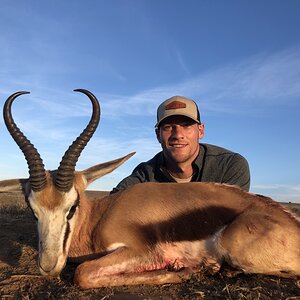 Springbok Hunting Eastern Cape South Africa