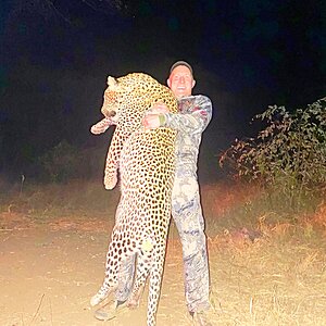 Leopard Bowhunting Zimbabwe