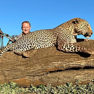 Leopard Bowhunting Zimbabwe