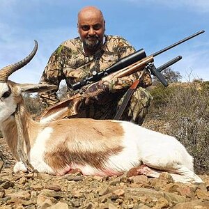 Springbok Hunting Eastern Cape South Africa