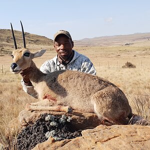 Vaal Rhebuck Hunting Eastern Cape South Africa