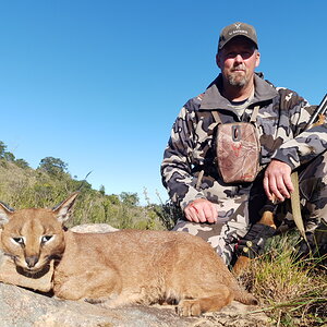 Caracal Hunting Eastern Cape South Africa