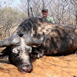 Buffalo Hunting South Africa