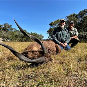 Sitatunga Hunting Zambia