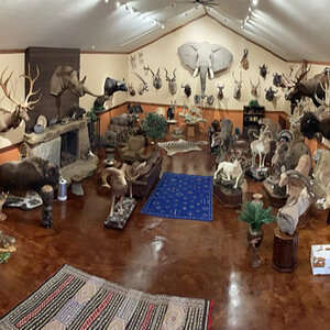 Trophy Room