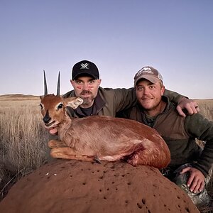 Steenbuck Hunt South Africa